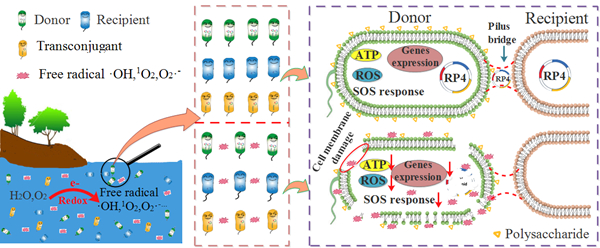 060fe96ddf7246cfa325256a5862062c.png 图片_副本.png